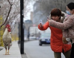 Aplikasi China Tak Ingin Aji Mumpung