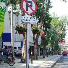 Dinas Pertamanan Siapkan Tim Khusus Rawat Bunga di Tiang PJU