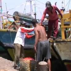 BBM Langka, Nelayan di Probolinggo Naikkan Harga Ikan