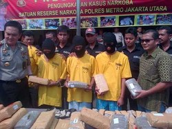 6 Pengedar Narkoba Dibekuk, 100 Kg Ganja Disita