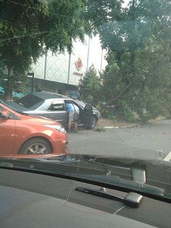 Mercy Tabrak Pohon di Jalan Jenderal Sudirman