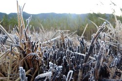 Fenomena Alam Menakjubkan Kristal Es di Dieng Hanya Muncul 3 Hari dalam Setahun