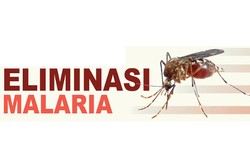 Ancaman Wabah Malaria Saat Perantau Merindukan Kampung Halaman