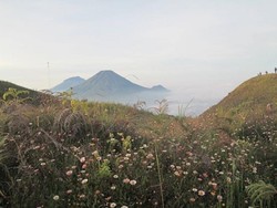 Jalan-jalan Seru ke Gunung Prau!