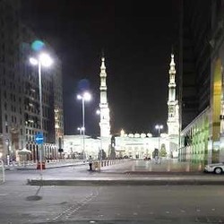 Aktivitas Dini Hari di Taman Surga Masjid Nabawi