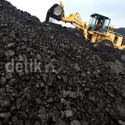 Ini Protes Warga Adat Soal Dampak Penambangan di Kalimantan