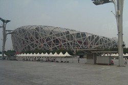 Sarang Burung Terbesar Dunia Ada di Beijing