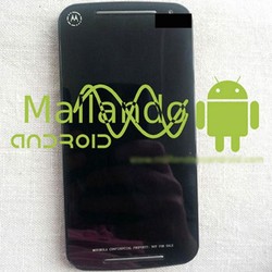 Penerus Moto G (Mungkin) Lebih Murah