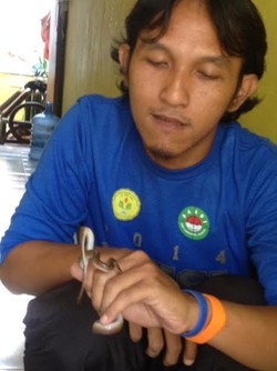 Benarkah Garam Dapur Bisa Mencegah Ular Masuk Rumah?