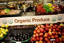 Peneliti Temukan Teknik Identifikasi Keaslian Makanan Organik