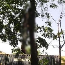 Seorang Pria Gantung Diri di Pohon Sono Pinggir Jalan