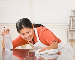 Bahan-bahan Alami Pembersih Rumah, Dari Cuka Sampai Roti Tawar