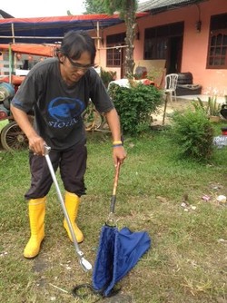 Menemukan Ular Masuk ke Rumah? Perhatikan 5 Tips Ini