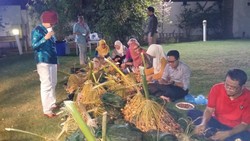 Ketika Pegawai Kedubes RI untuk Qatar Panen Kurma dari Pekarangan