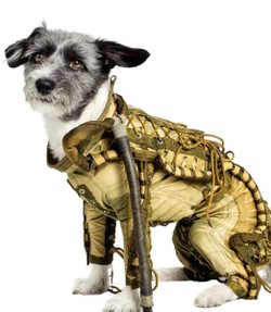 Dilelang! Baju Anjing yang Pernah ke Luar Angkasa