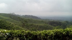 Gucialit, Desa Wisata Baru di Lumajang