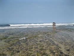 Indahnya Pantai Ujung Genteng, Bikin Tak Mau Pulang!