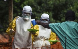 PBB Setujui Program Pengantaran Pangan Darurat untuk Daerah Wabah Ebola