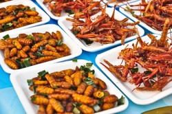 Kriuk Gurih Serangga yang Kaya Protein dan Ramah Lingkungan