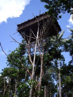 Suku Korowai di Papua & 4 Suku yang Wajib Turis Temui di Dunia