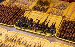 PBB Rekomendasikan Konsumsi Serangga untuk Atasi Kerawanan Pangan Dunia