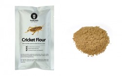 Tepung Jangkrik yang Tinggi Protein Enak Diolah Jadi Cookies dan Cake