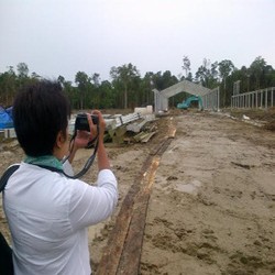 Diterima Warga Papua, Ini Tips Perhutani Bikin Pabrik Sagu di Pedalaman
