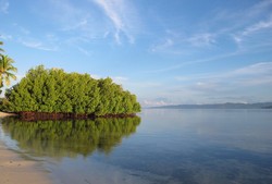 Masya Allah! Raja Ampat di Pagi Hari Sudah Secantik Ini