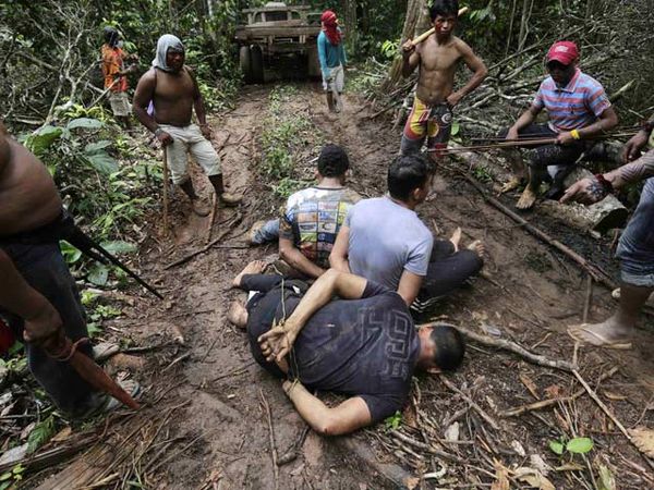 Berburu Penebang Hutan Liar di Amazon