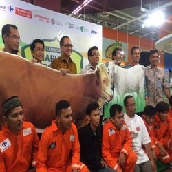 Mau Beli Hewan Kurban di Carrefour, Ini Harganya