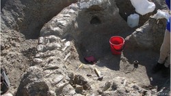 Dinosaurus Raksasa Terlengkap Ditemukan