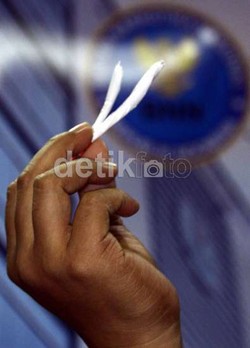 19 PNS Dinas PU DKI Positif Ganja, Ini Saran dari BNN Agar Tak Kecolongan