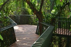 Menikmati Hutan Kota Babakan Siliwangi dari Jembatan