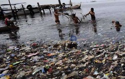 Menteri Lingkungan Hidup di Era Jokowi Harus Koordinasi dengan Penegak Hukum