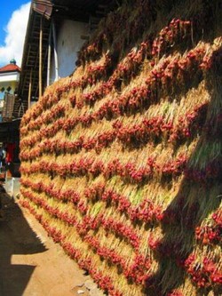 Uniknya Tembok Bawang di Lombok