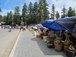 Bisa Belanja Murah di Pasar Sa Pa Vietnam, Tapi...