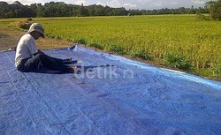 Pabrik Penggilingan Gabah Terbesar RI Milik Rachmat Gobel Ada di Mojokerto
