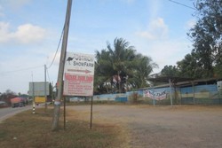 Kencan Asyik Bersama Burung Unta di Johor Bahru, Malaysia