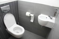 Toilet Kering Vs Toilet Basah, Mana yang Lebih Sehat?