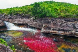Aneh Tapi Nyata, Kolombia Punya Sungai Lima Warna