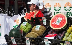 Petani Spanyol Protes Embargo Rusia dengan Bagi-bagi Buah Gratis