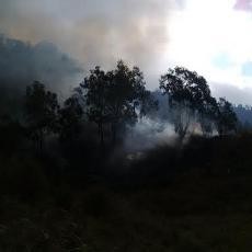 Padang Savana di Gunung Bromo Terbakar