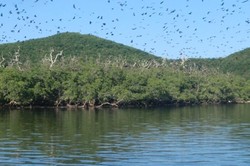 Ada Pulau Batman di Flores