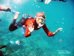 Wajib Coba! 6 Aktivitas Seru di Karimunjawa