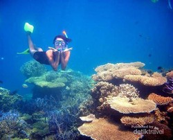 Ragam Cerita Seru Traveler Saat di Karimunjawa
