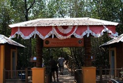 Trekking Hutan Mangrove, Cara Baru Menikmati Karimunjawa
