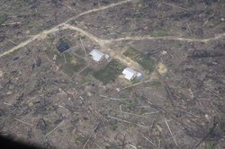 Jaga Kelestarian Hutan, Tim Seleksi Menteri Usul Gabung Kemenhut dan LH