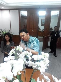Ahok Memilih Tak Berlabuh ke NasDem