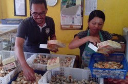 Ayo ke Yogya, Bakal Ada Bagi-bagi Bakpia Gratis!