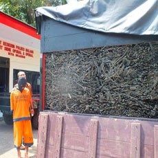 Pria Ini Modifikasi Truk Untuk Timbun Solar